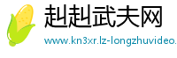 赳赳武夫网